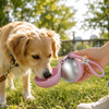 Botella de agua y cuenco isotérmicos para perros