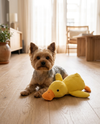 Peluche Pato Tranquilizador para Perros