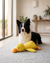 Peluche Pato Tranquilizador para Perros