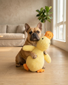 Peluche Pato Tranquilizador para Perros