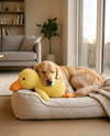Peluche Pato Tranquilizador para Perros